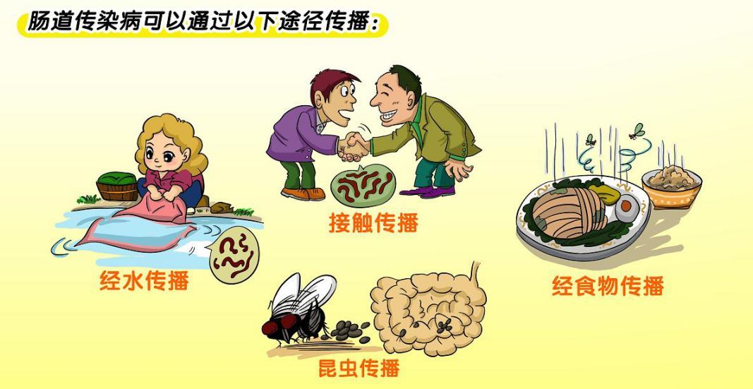 節(jié)日飲食衛(wèi)生指南 預(yù)防腸道傳染病